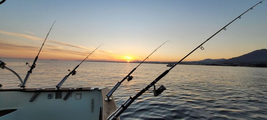 Estepona: Fishing Tour StartFisher 1060 - Quick highlights before you go