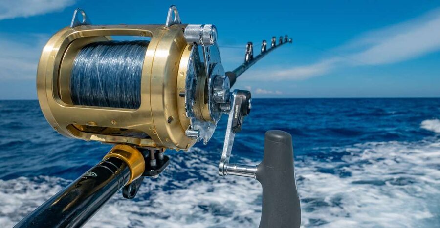 Estepona: Fishing Tour StartFisher 1060 - The 2–4 hour flow: from Estepona meet-up to time on the water