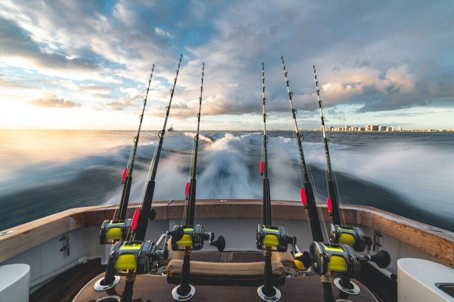 Estepona: Fishing Tour StartFisher 1060 - Who this fishing tour suits best