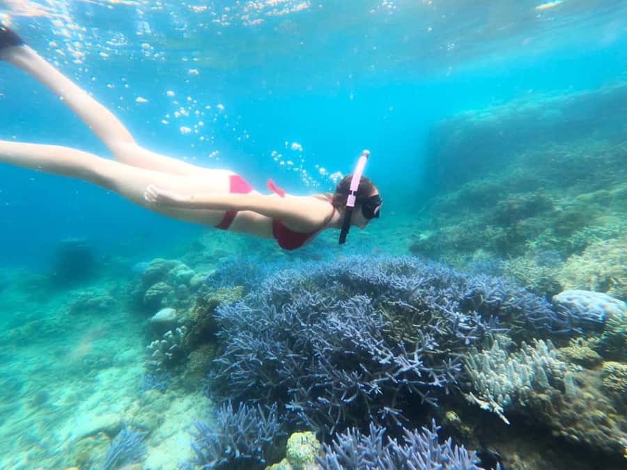Exclusive Lombok Fishing & Snorkeling Tour Across 4 Gilis - After Lunch on Gili Rengit: More Fishing, More Quiet, and Optional Snorkeling