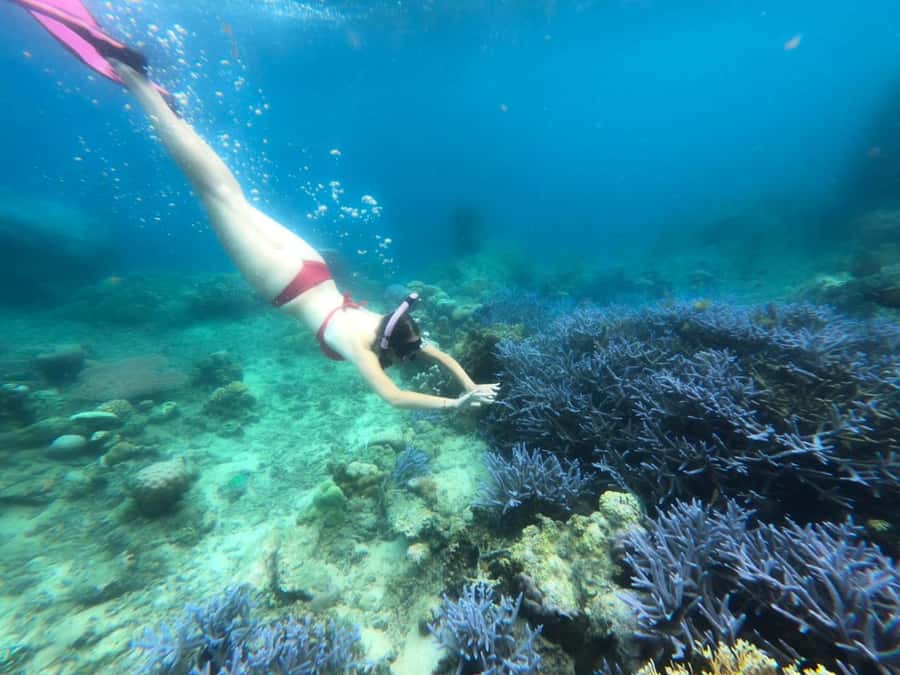 Exclusive Lombok Fishing & Snorkeling Tour Across 4 Gilis - What to Bring (and What Not to Bring) for an Easy Day