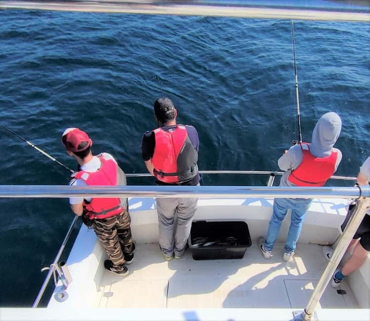 Explore Sesimbra: Private Sport Fishing All Inclusive Tour - Dolphins and marine life: a bonus when you’re fishing