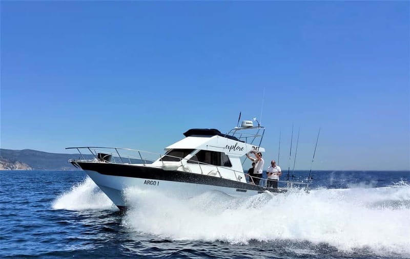 Explore Sesimbra: Sport Fishing All Inclusive half-day trip - Keeping Your Catch (And Planning the Best Ending)