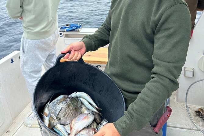 Explore Sesimbra Sports Fishing - Quick hits before you go fishing in Sesimbra