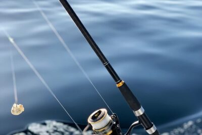 Explore Sesimbra Sports Fishing - Your target species game plan: pargos, golds, pica-pica, and schoules