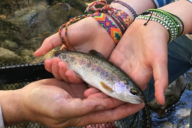 Family Fun Private Half Day Fly Fishing Adventure - Key things I’d circle before you book