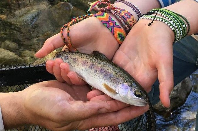 Family Fun Private Half Day Fly Fishing Adventure - Pickup to your first cast: how the timing works