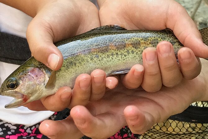 Family Fun Private Half Day Fly Fishing Adventure - The Tuolumne River segment: what makes the fishing time work