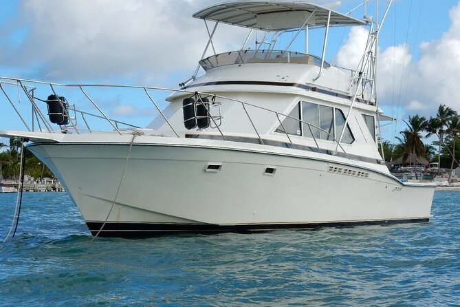 Fishing Adventure Punta Cana – Full Experience Professional - Price and Value: Is $130 Worth a 4-Hour Fishing Trip in Punta Cana?