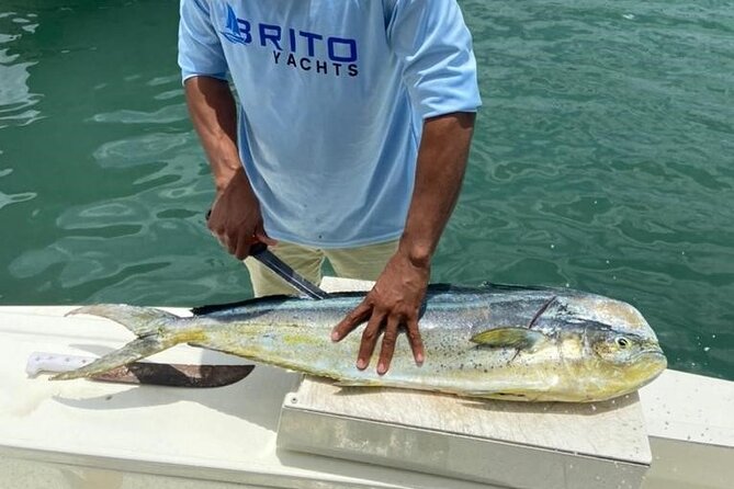 Fishing And Eating Straight From The Sea ( SAONA ISLAND AND PALMILLA) - Offshore fishing and Palmilla: the day’s simple logic