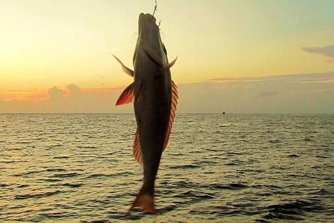 Fishing and Snorkelling by Speedboat Tour - Hurghada - Pickup From Your Hotel and the Boat Ride Setup