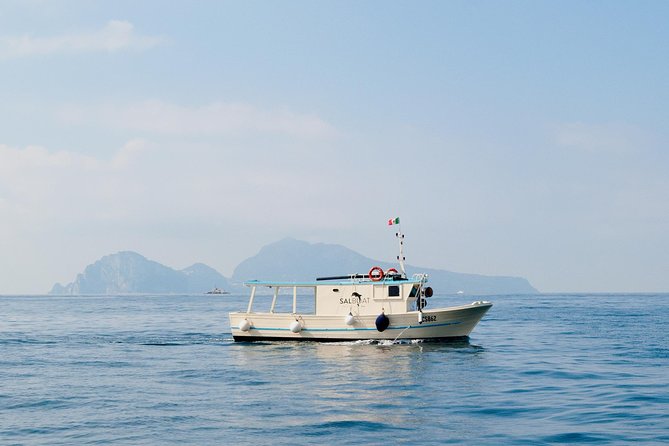 Fishing and Tourism in Capri - Why This Capri Fishing Tour Feels More Like a Day Out Than a Checklist