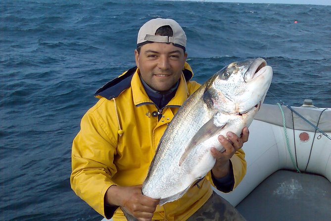 Fishing Boat Rental - Dolphins, Berlengas, and the best kind of surprise