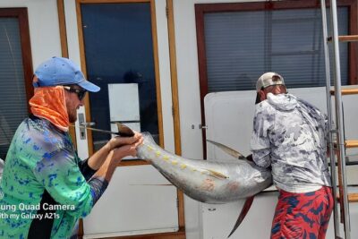 Fishing Charter 6 Hours - How the Captain Sets Up the Fishing: Live Bait, Short Run, Then Work