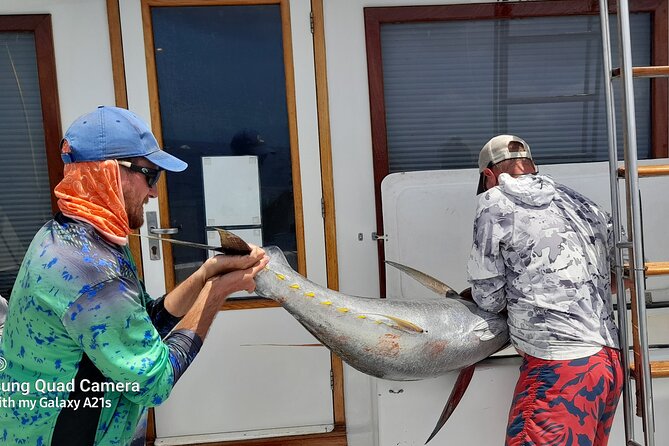 Fishing Charter 6 Hours - How the Captain Sets Up the Fishing: Live Bait, Short Run, Then Work