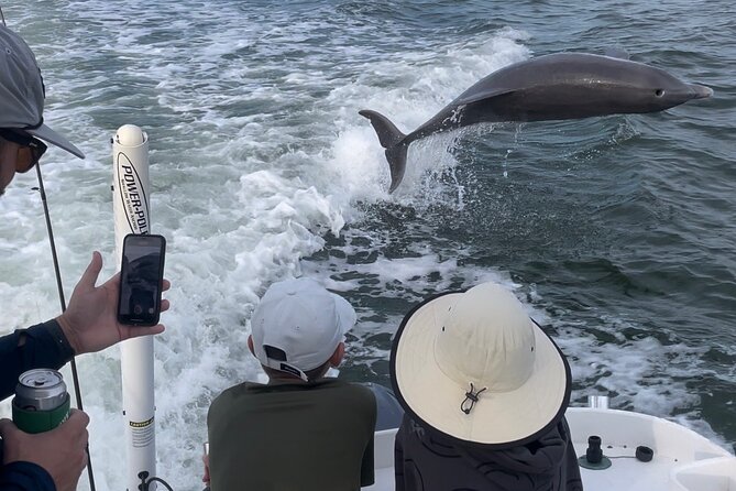 Fishing Charter Fort Myers Beach - Wildlife Moments You Should Keep Your Eyes Open For