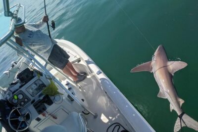 Fishing Charters - Fort Myers Beach / Naples - Species Targets That Actually Guide Your Choices