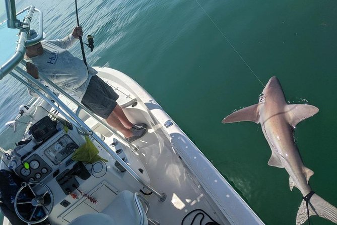 Fishing Charters - Fort Myers Beach / Naples - Species Targets That Actually Guide Your Choices