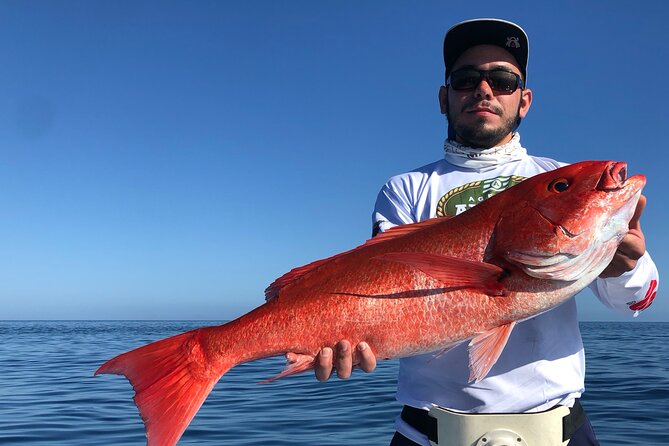 Fishing Day with Local Fishermen in Loreto - Winter fishing focus: jurel (yellow tail) and deeper-water species