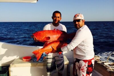 Fishing Over Night Private Boat Up to 8 Pax With Fishing equipment - Hurghada - The boat setup: cabins, comfort basics, and fishing power