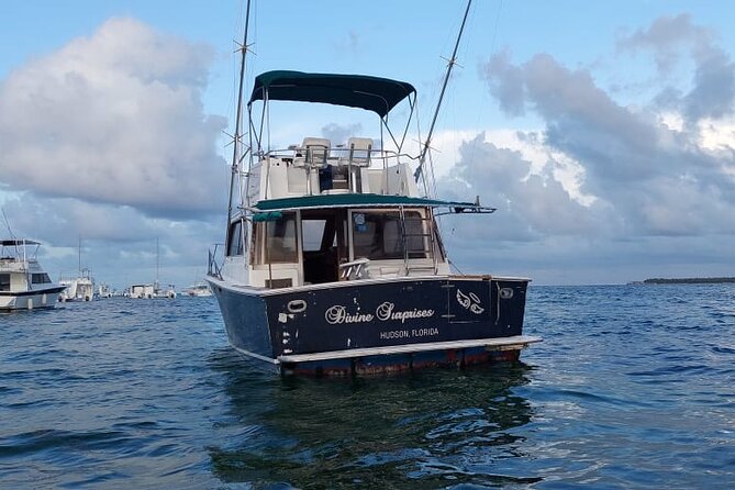 FISHING PRO CHARTERS - Boat Excursion - Divina - Price and logistics: $550 per group is either a steal or a mismatch