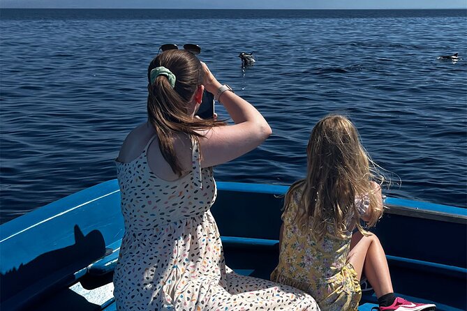 Fishing, Snorkelling & Dolphin Boat Tour - Price and Value: Is $78.44 a Fair Deal?