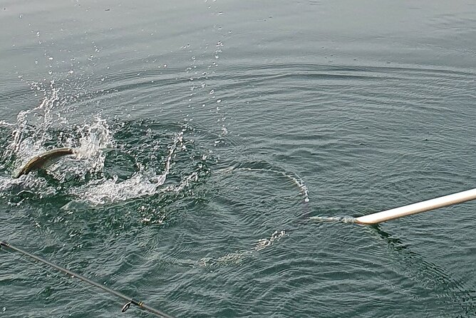 Fishing Tour with a Fishing Boat at Lake Constance (Untersee) - Key highlights to know before you cast a line