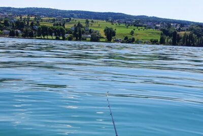 Fishing Tour with a Fishing Boat at Lake Constance (Untersee) - From Kreuzlingen to the lake: private transport that saves time