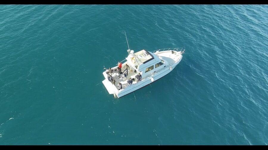 Fishing Trip all included - The 11-meter catamaran and champion skipper effect