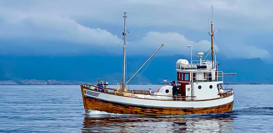 Fishing trip from Henningsvær + free (self caught) fish soup - The Sabina boat ride to the best fishing spot