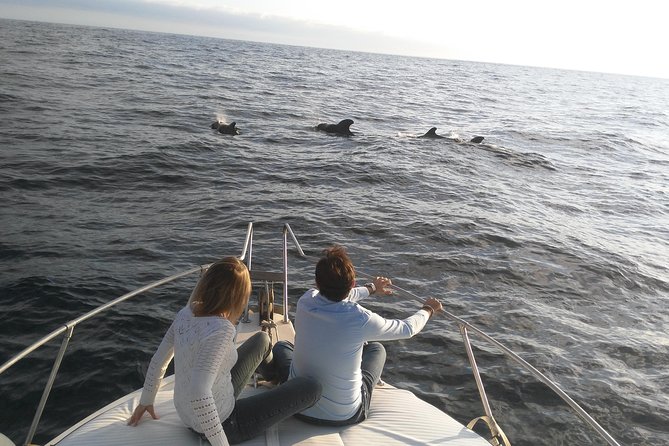 Fishing trip, Tenerife Sea Passion - Playa San Juan: the local-harbor start that feels calmer