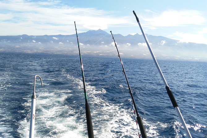 Fishing trip, Tenerife Sea Passion - Price and value: about $96.54 for 4 hours of real fishing time