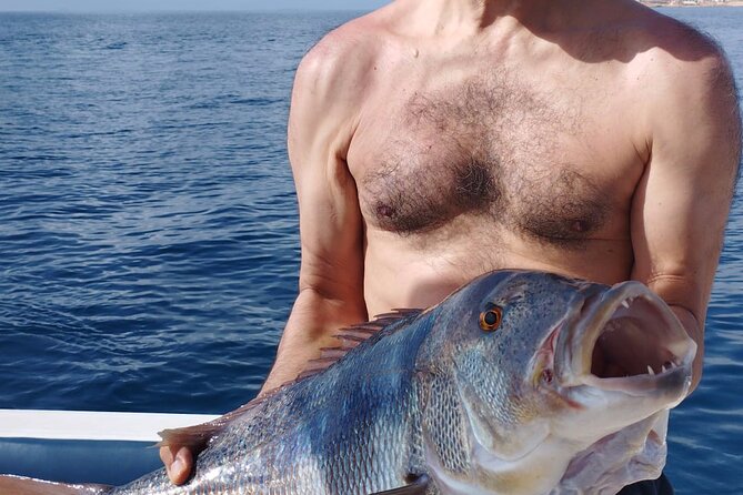 Fishing trip Torrevieja - Included gear and cold drinks: fewer logistics, more fishing time