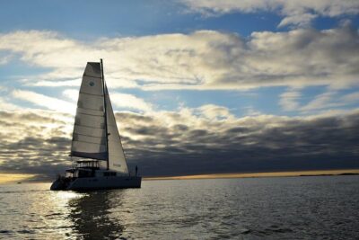 Fishing Trip with Luxury Catamaran in Tromso - Cruise Time: Coffee, Panoramic Views, and Getting Ready