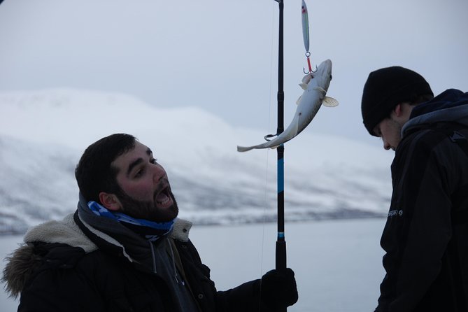 Fishing Trip with Luxury Catamaran in Tromso - The Fresh Fish Soup and How the Meal Fits the Story
