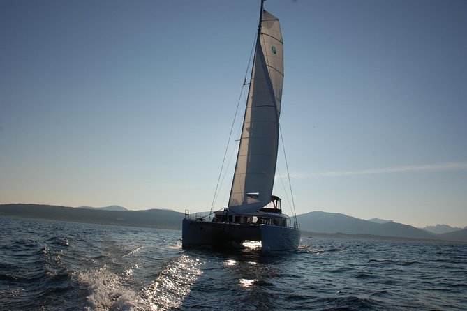 Fishing Trip with Luxury Catamaran in Tromso - Price and Value: What $241.75 Is Buying You
