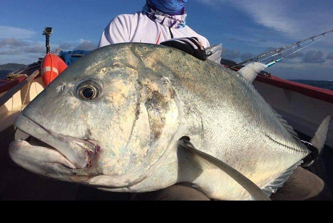 Fishing Trips. Popping, jigging, big game, live bait - Key things to know before you cast