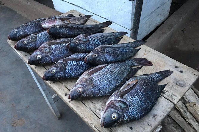 Fishing Village Food Tour & Luwombo Stop - Who This Tour Fits Best in Kampala