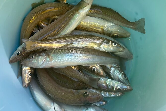 Fishing with Mt. Fuji Views and Japanese Home Cooking Experience - Packing tips: towels, sun protection, and cold/wet weather