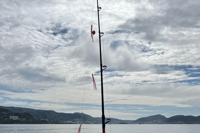 Fjord Sea Safari with Fishing from Bergen - Where the fjord safari takes you (and why it’s not just sightseeing)