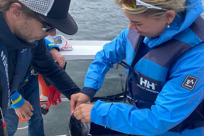 Fjord Sea Safari with Fishing from Bergen - Price and value: what you’re really paying for