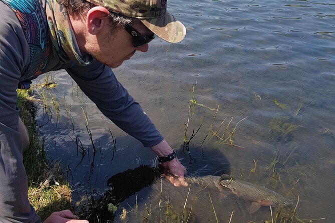 Fly Fishing Experience Near Mexico City - On the water: strategy changes and trout release