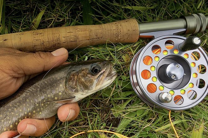 Fly Fishing Guided Experiences - On the Water With Craig: Casting Guidance, Species Talk, and Real Breaks