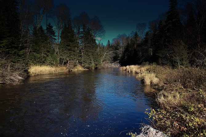 Fly Fishing Guided Experiences - Weather, Timing, and What to Expect When Plans Change