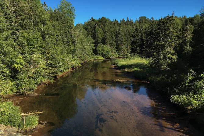Fly Fishing Guided Experiences - Waders, Gear, and Fishing License: What’s Actually Included