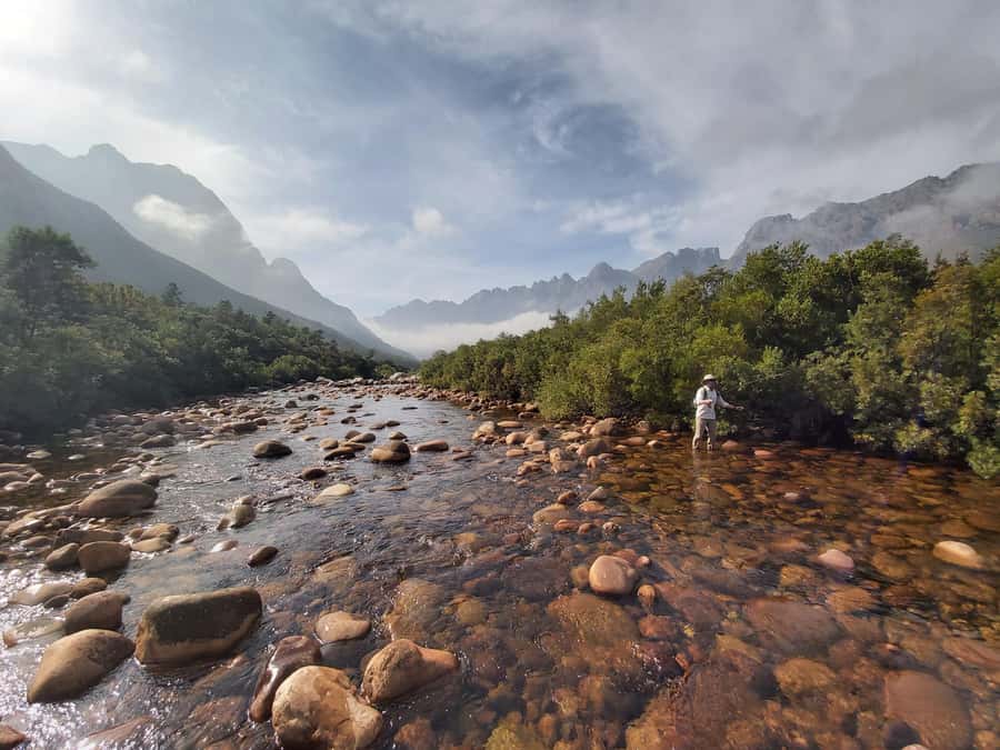 Fly Fishing in Cape Town - Key highlights and why they matter
