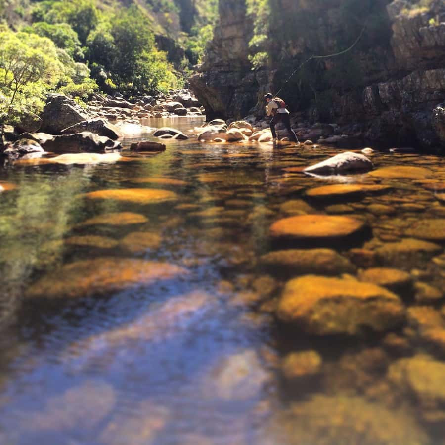 Fly Fishing in Cape Town - Four Hours on the Water: Stalking Wild Rainbow Trout