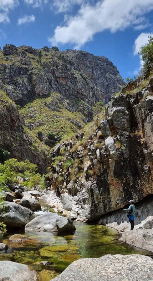 Fly Fishing in Cape Town - Photos After the Catch, Then Release