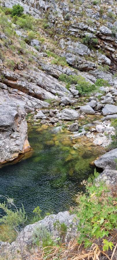 Fly Fishing in Cape Town - Lunch and River Snacks With Local, Organic Food