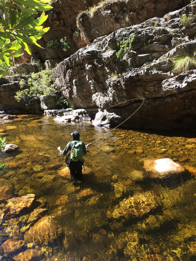 Fly Fishing in Cape Town - Gear and Permits Are Included, But You Still Need the Right Extras